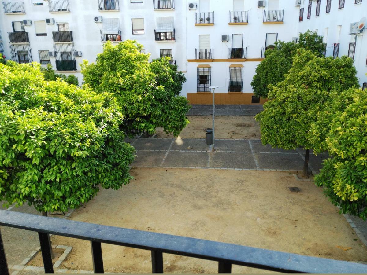 Apartamento Plaza Compania Jerez Jerez de la Frontera Zewnętrze zdjęcie