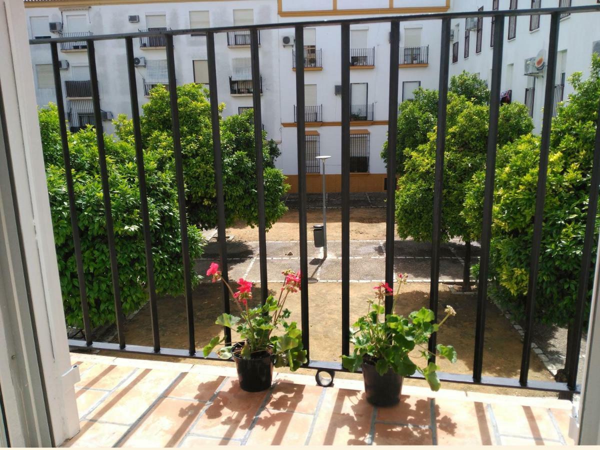 Apartamento Plaza Compania Jerez Jerez de la Frontera Zewnętrze zdjęcie